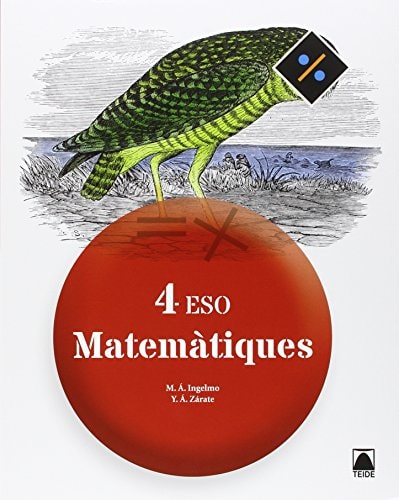 Matematiques - Teide