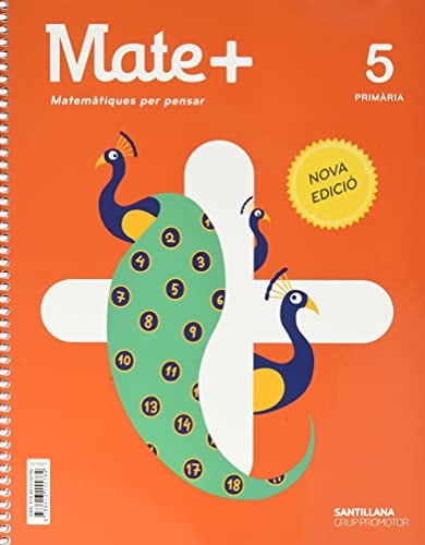 Matemátiques - Santillana