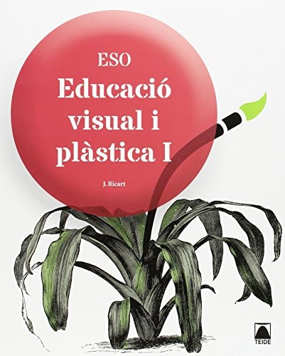 Educacio Visual - Teide